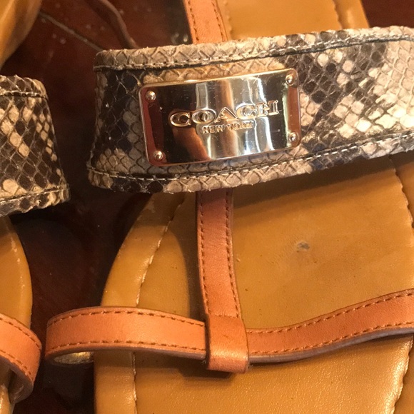 Coach sandals - Picture 2 of 5